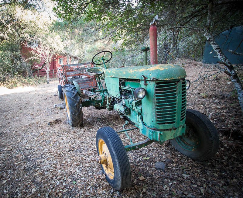 A Break from Beans and Food - Rancho Gordo