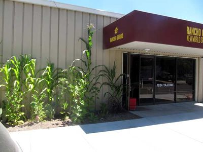 Big Corn at Rancho Gordo - Rancho Gordo