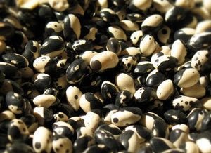 Black Calypsos with Pancetta and Sage, plus a little Slow Food Nation News - Rancho Gordo