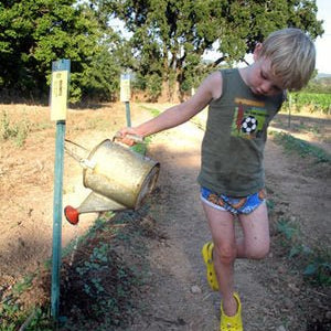 Daniel Patterson on Heirloom Vegetables - Rancho Gordo