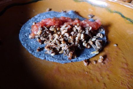 Escamoles: Ant Eggs Are Delicious - Rancho Gordo