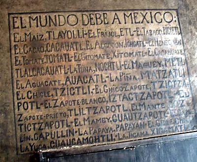 Foods the Americas Gave the World - Rancho Gordo