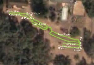 Google Mapping Your Garden - Rancho Gordo