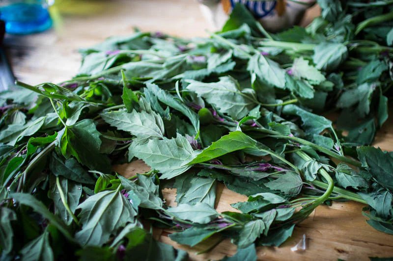 How to Make Garbage Soup and Eat Well All Week - Rancho Gordo