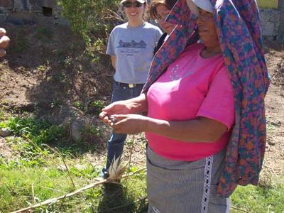 More on the Rancho Gordo-Xoxoc Project - Rancho Gordo