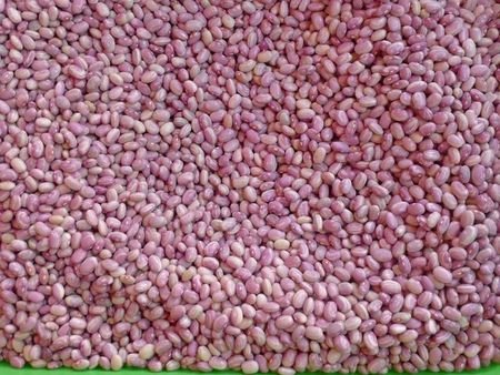 Morelia Market Shots - Rancho Gordo