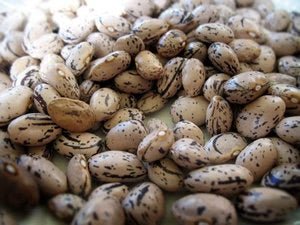 New York Times on 'Beans: A History' and a Podcast - Rancho Gordo