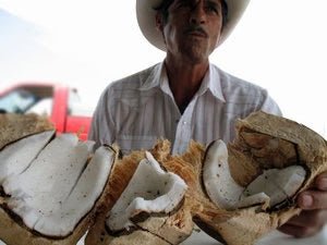 Nuts for the Holidays - Rancho Gordo