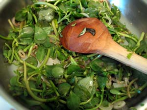 Purslane - Rancho Gordo