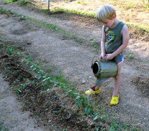 Quality Has It's Own Problems: Beans Cook Too Fast for the Ham Hocks - Rancho Gordo