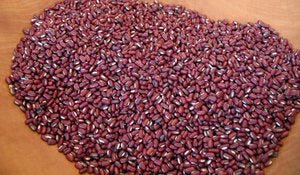 Rice Bean from Chiapas - Rancho Gordo