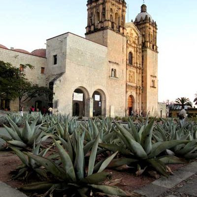 Santo Domingo in Oaxaca - Rancho Gordo