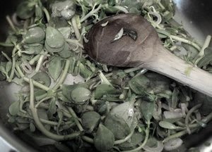 The Buy Local Backlash - Rancho Gordo