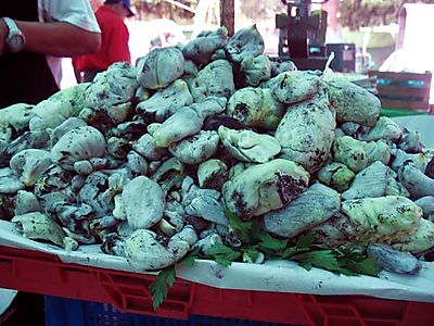 The Xochimilco Market in Mexico City - Rancho Gordo