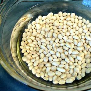 To Soak or Not to Soak? - Rancho Gordo
