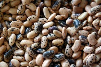 Two New Beans from Mexico - Rancho Gordo