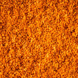 closeup of dried red lentils