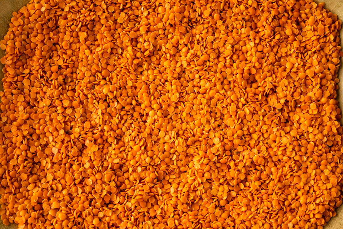 closeup of dried red lentils