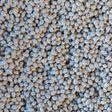 Alubia Blanca Bean - Rancho Gordo