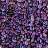 Ayocote Morado Bean - Rancho Gordo