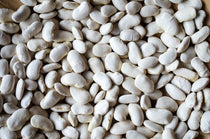 California Corona Bean - Rancho Gordo