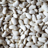 California Corona Bean - Rancho Gordo