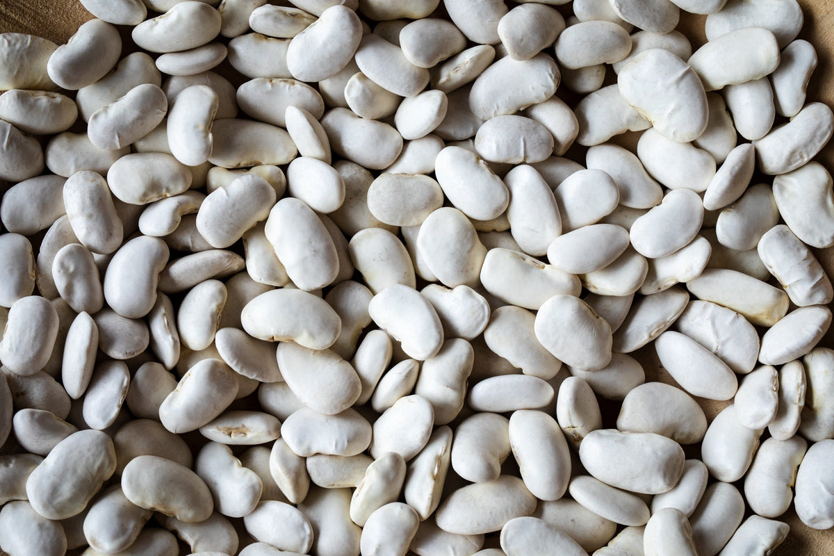 California Corona Bean - Rancho Gordo