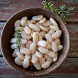 Cassoulet (Tarbais) Bean - Rancho Gordo