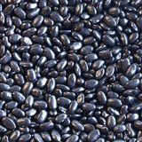 Chiapas Black Bean (Frijol Negro de Vara) - Rancho Gordo