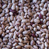 Cranberry Bean - Rancho Gordo