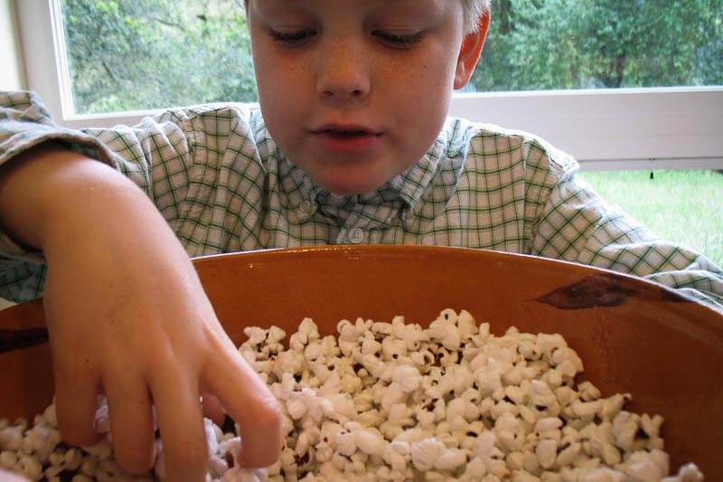 Crimson Popping Corn - Rancho Gordo