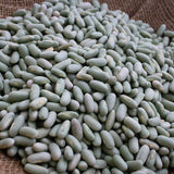 Flageolet Bean - Rancho Gordo