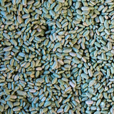 Flageolet Bean - Rancho Gordo