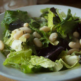 Flageolet Bean - Rancho Gordo