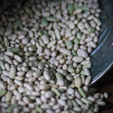 Flageolet Bean - Rancho Gordo