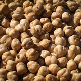 Garbanzo Bean (Chickpea) - Rancho Gordo