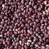 Good Mother Stallard Bean - Rancho Gordo