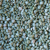 Green Baby Lima Bean - Rancho Gordo