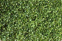 Green Split Pea - Rancho Gordo