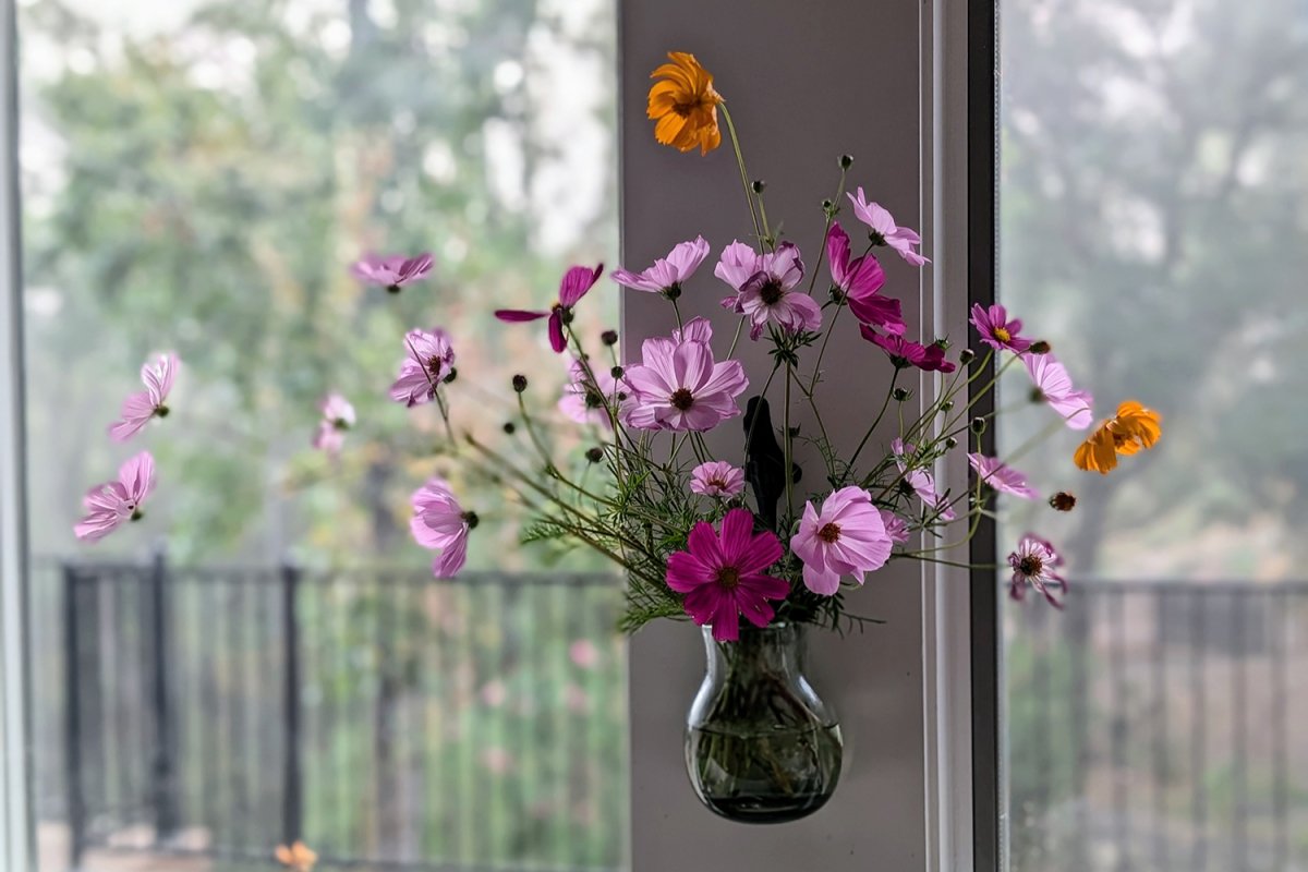 Handblown Glass Wall Pocket - Rancho Gordo
