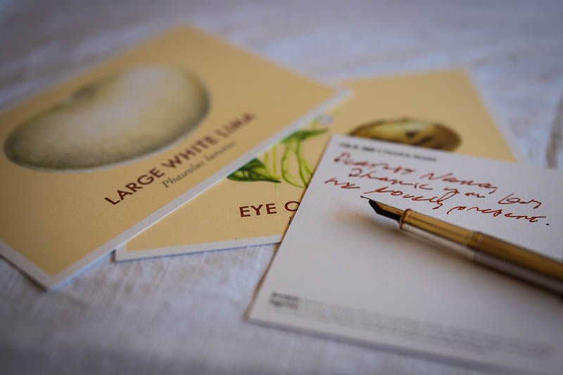 Heirloom Bean Postcard Set - Rancho Gordo