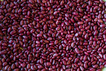 Hidatsa Red Bean - Rancho Gordo