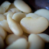 Large White Lima Bean - Rancho Gordo