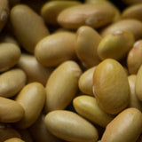 Mayocoba Bean - Rancho Gordo