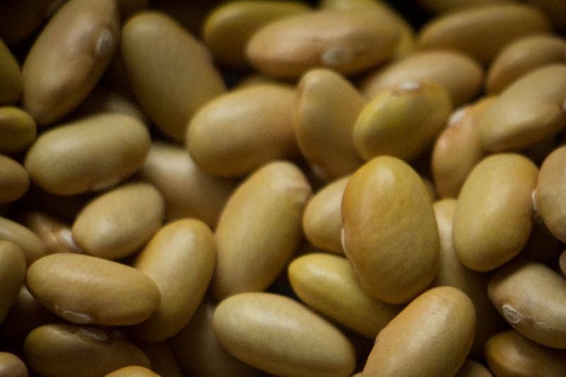 Mayocoba Bean - Rancho Gordo