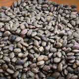 Moro Bean - Rancho Gordo