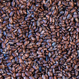 Moro Bean - Rancho Gordo