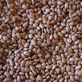 Pinto Bean - Rancho Gordo