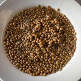 Puglia Lentil - Rancho Gordo