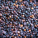 Quinoa, Black - Rancho Gordo